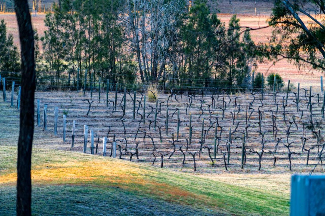 Thistle Hill Guesthouse - Walk To Many Wineries And Restaurants 포콜빈 외부 사진