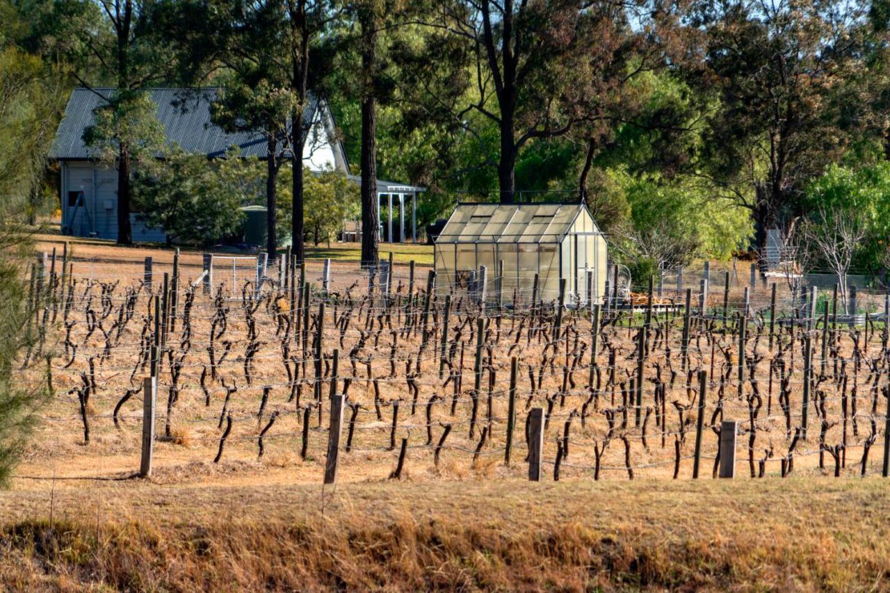 Thistle Hill Guesthouse - Walk To Many Wineries And Restaurants 포콜빈 외부 사진