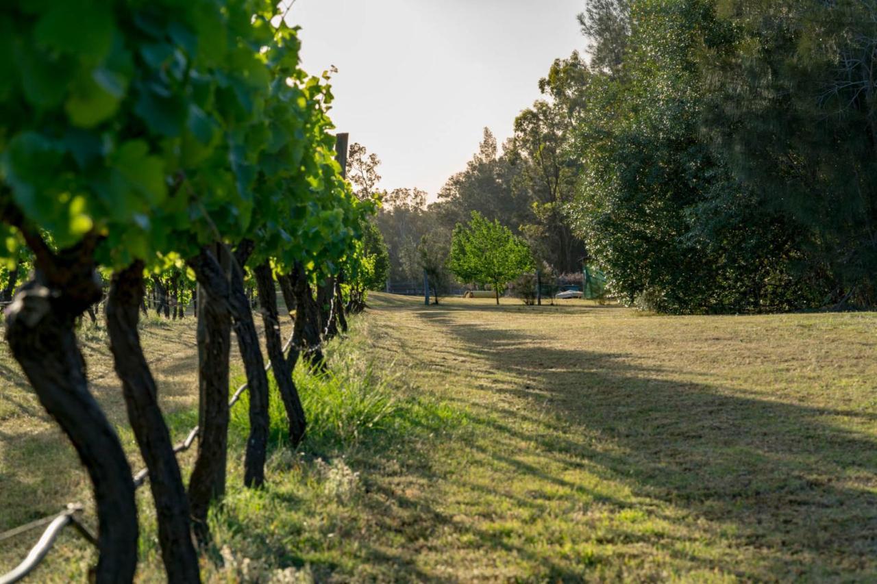 Thistle Hill Guesthouse - Walk To Many Wineries And Restaurants 포콜빈 외부 사진