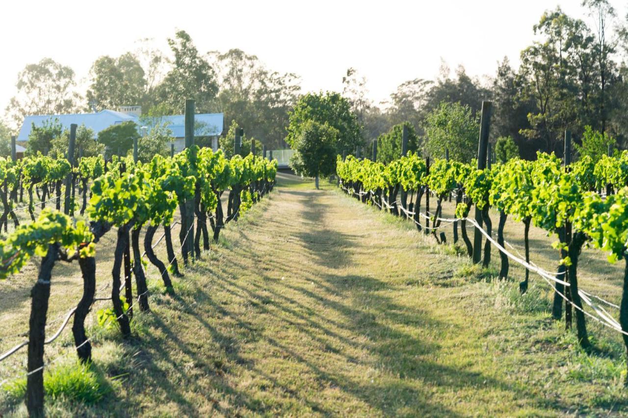 Thistle Hill Guesthouse - Walk To Many Wineries And Restaurants 포콜빈 외부 사진